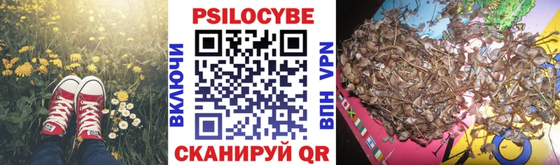 Псилоцибиновые грибы Cubensis  купить наркоту  Куровское 